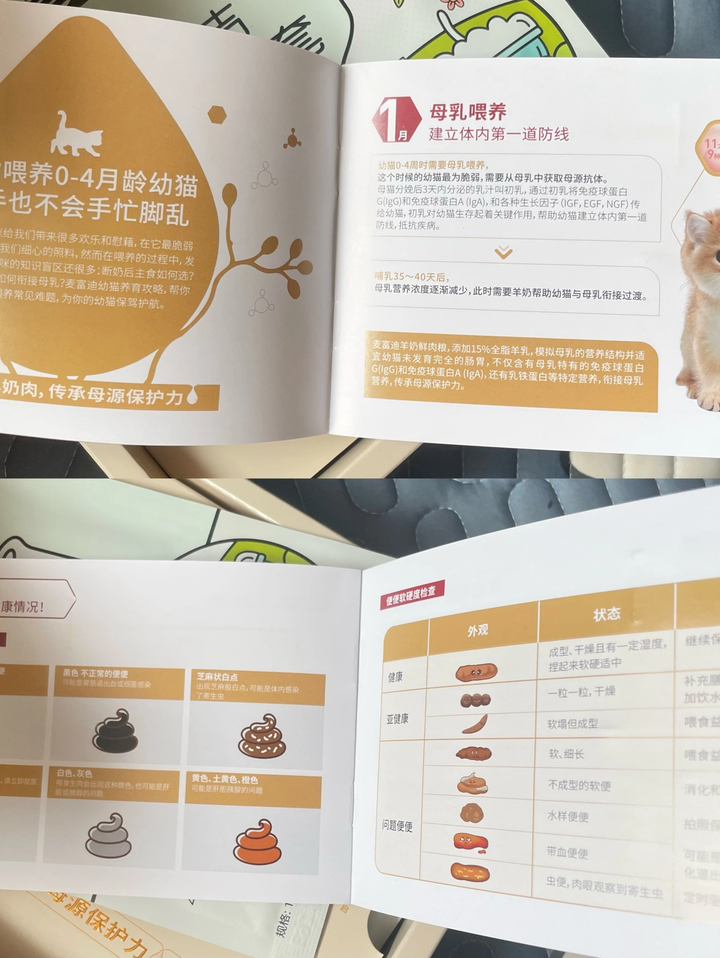 幼猫全龄饮食指南：从母乳到固体食物的关键期