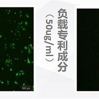 科技守护肌肤：华妍光钥抗蓝光专利，筑起数字时代的护肤新防线