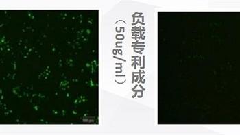 科技守护肌肤：华妍光钥抗蓝光专利，筑起数字时代的护肤新防线