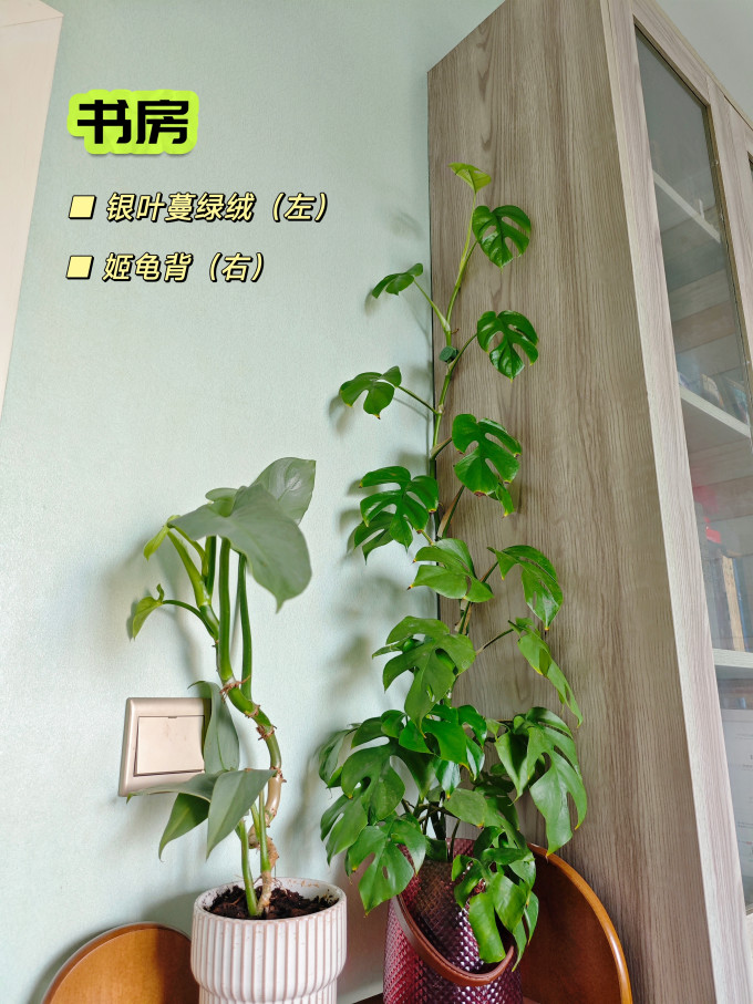 花多多园艺用品