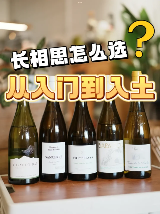 白葡萄酒怎么选 长相思从入门到入土