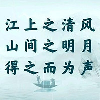 在苏轼的世界里，每一滴墨都蕴含着深邃的人生智慧，每一行字都折射出他对世界的深刻理解。