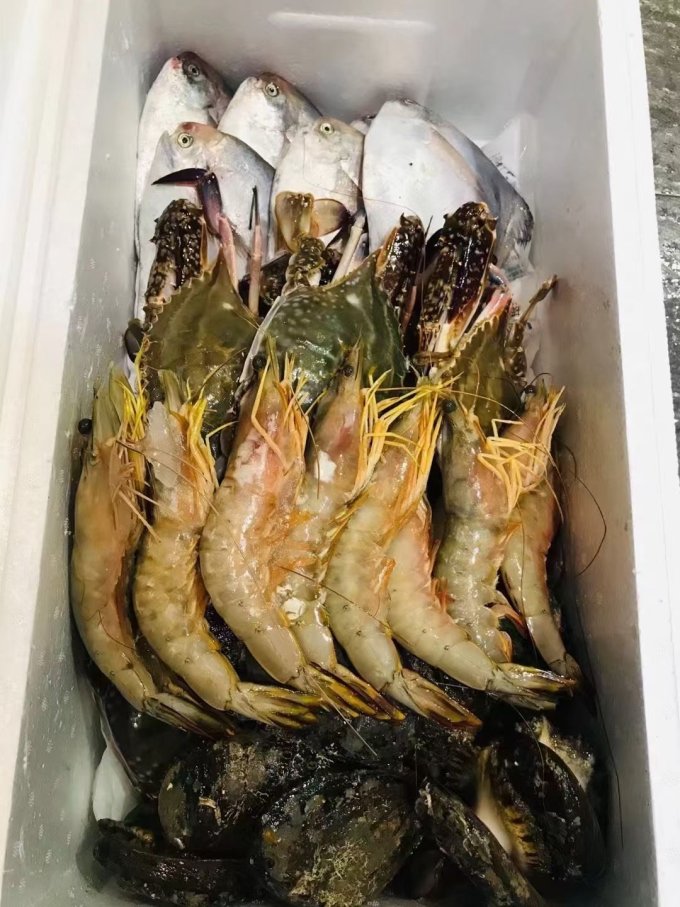 渔游记虾类