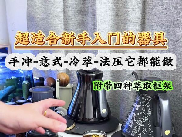 最值得咖啡新手入手的万能咖啡器具-爱乐压