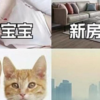 夏季猫狗掉毛多怎么办，如何挑选全能效的空气净化器？2024年空气净化器哪个品牌除毛除菌效果最佳？