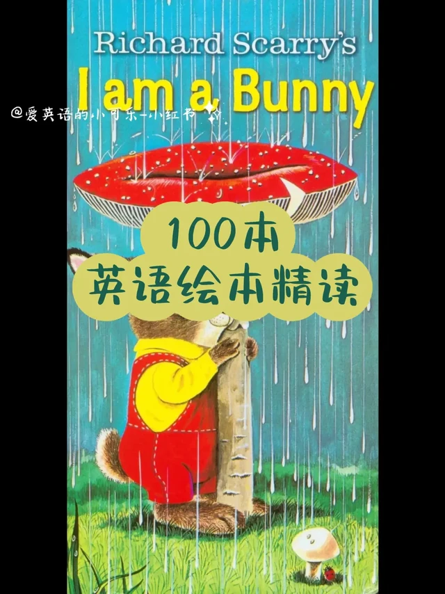 0-3岁经典英语绘本分享《I am a Bunny》