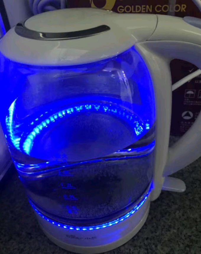 小熊电水壶