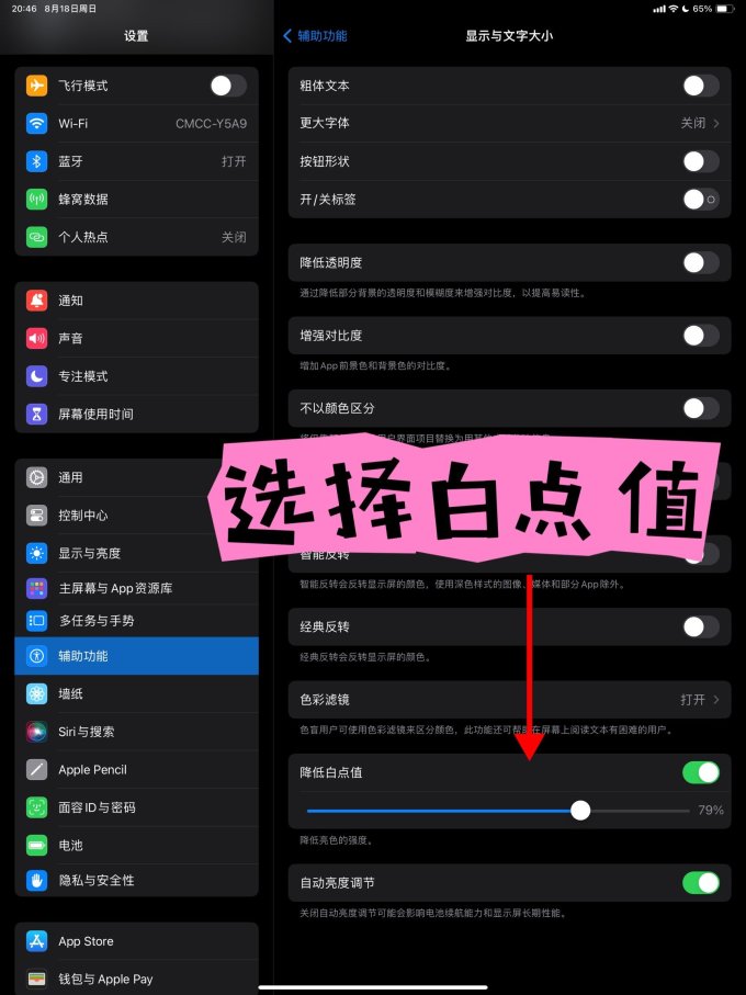 苹果iPad