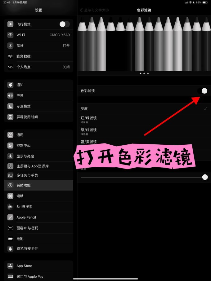苹果iPad