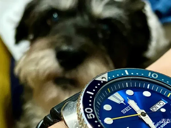 日本本国销售的 Seiko (精工) 男士腕表,哪个系列的性价比相对较高?
