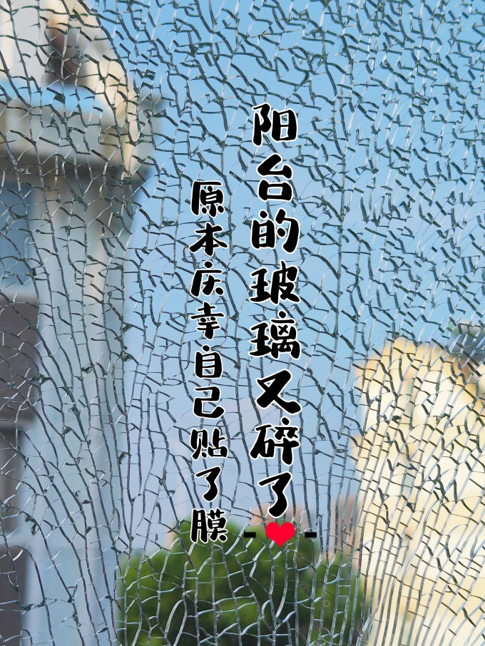 金隆兴墙贴/装饰贴