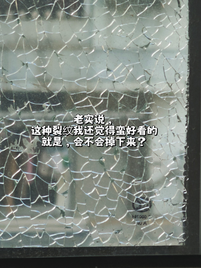 金隆兴墙贴/装饰贴