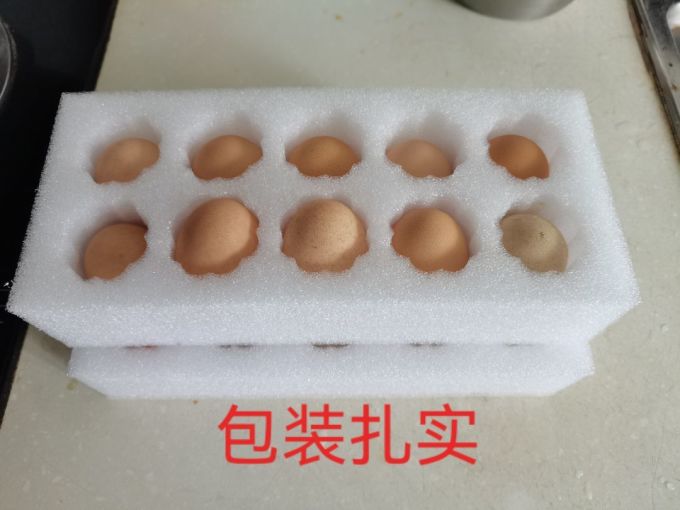 喵满分蛋类