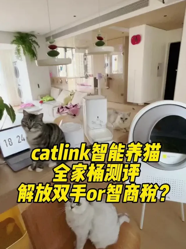 catlink智能养猫全家桶测评！不吹不黑纯真实体验感#萌宠好物 #养猫用品推荐 #自动猫砂盆 #catlink自动猫砂盆