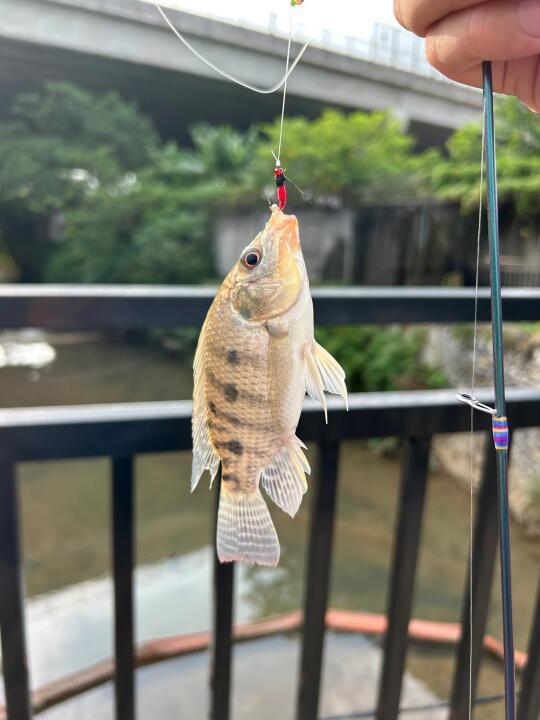新手装备听劝局，秒破龟。