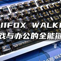 体验PIIFOX WALKER75：游戏与办公的全能键盘