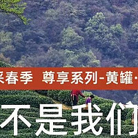 史诗级地狱笑话，库洛茶陷入无茶可卖困境