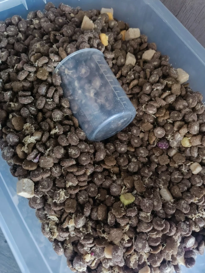 诚实一口狗狗干粮