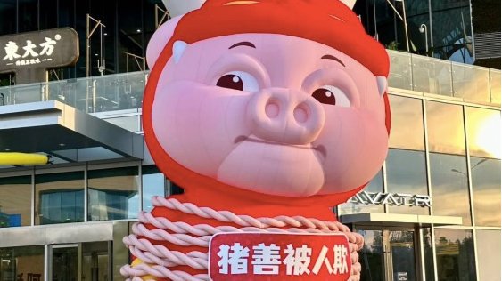 佳奇科技花式“整活”与猪猪侠梦幻联动释放潮玩积木新动能