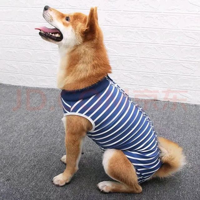 优宠君狗狗绝育服，让爱宠轻松断奶！