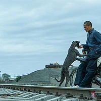 一人、一车、一狗———观《狗阵》有感