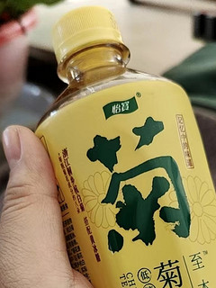 新发现的宝藏菊花茶