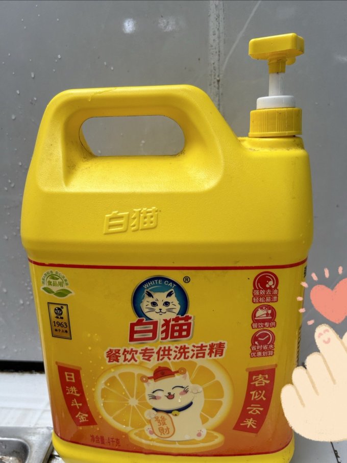 白猫居室清洁