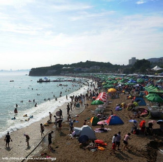 海风拂面，大连海边的美