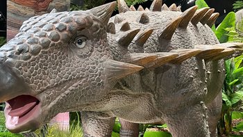 北京看展｜被央视力荐的恐龙展🦕家有男宝别错过 