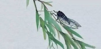 又是一年蝉鸣时 