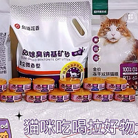 猫咪吃喝拉好物大公开，值得无限回购！