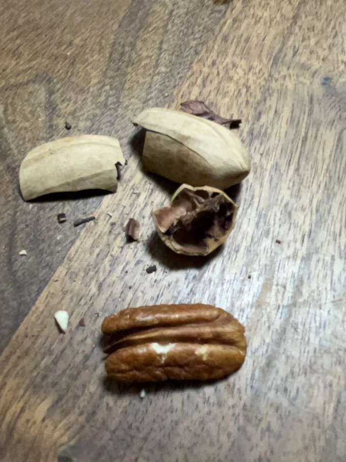 三只松鼠量贩装碧根果