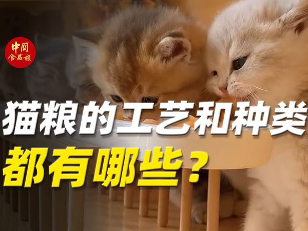 猫粮的工艺和种类都有哪些？