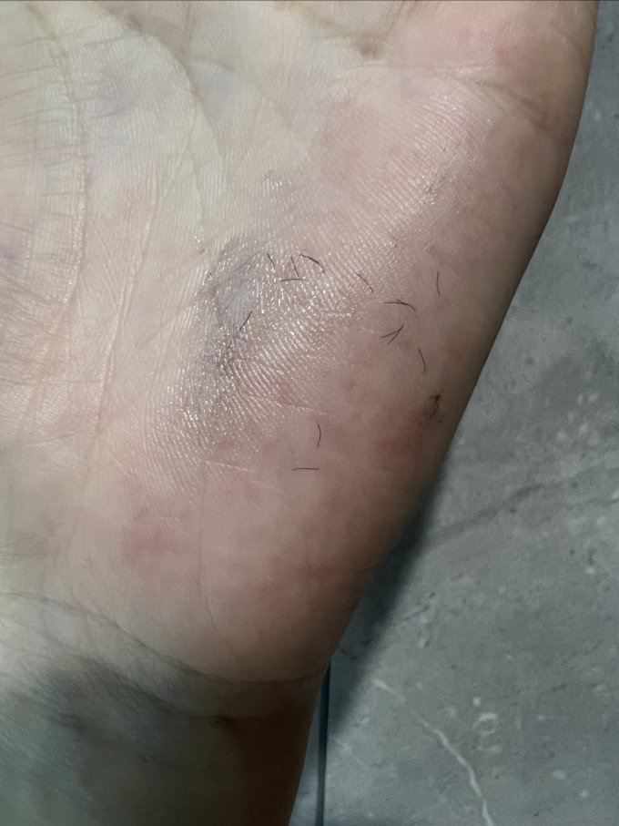睫毛膏/睫毛滋养液