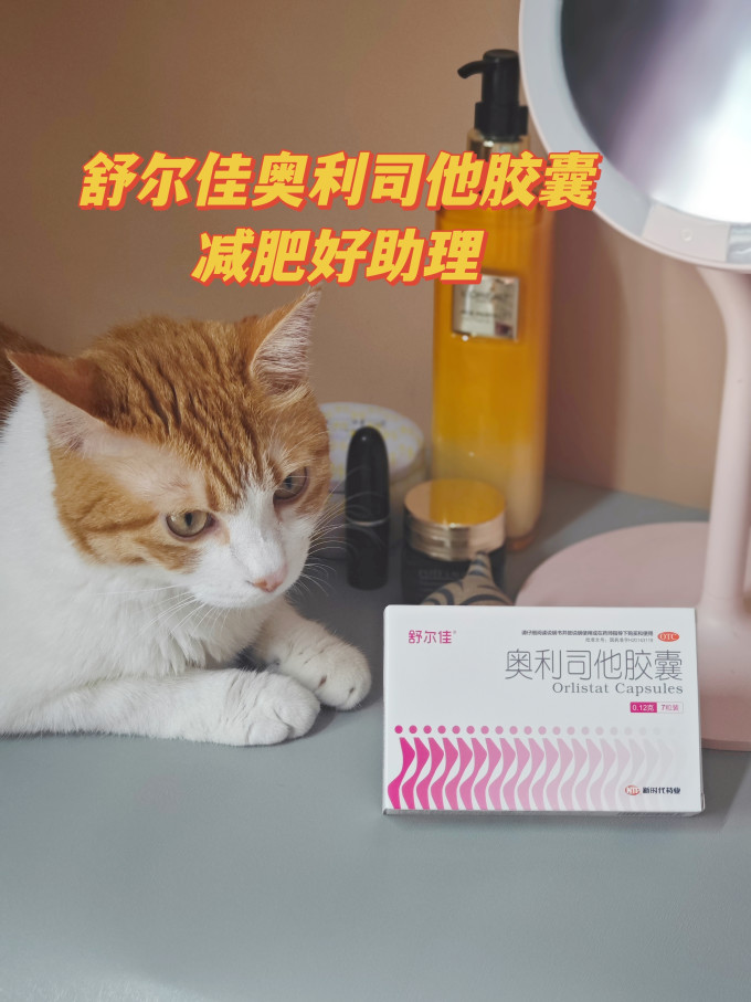 舒尔佳消化系统