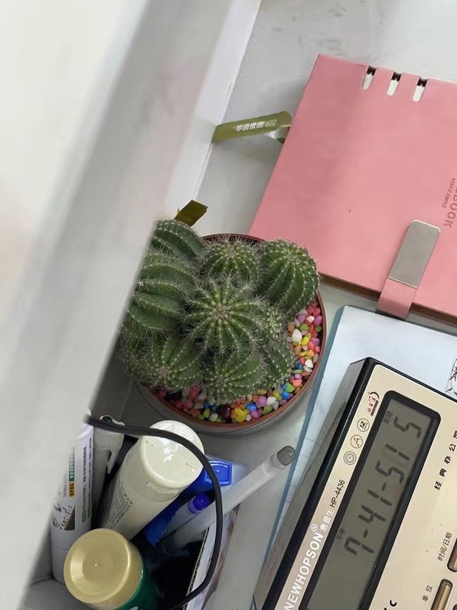 好吃