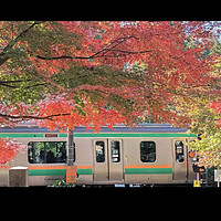 （篇三，镰仓【上——深山古寺】）