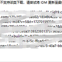 最近突然被idm弹窗困扰！那只有试试同类NDM，您们呢？