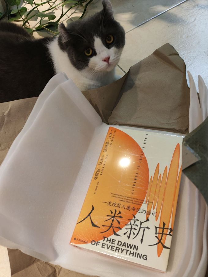 社会科学