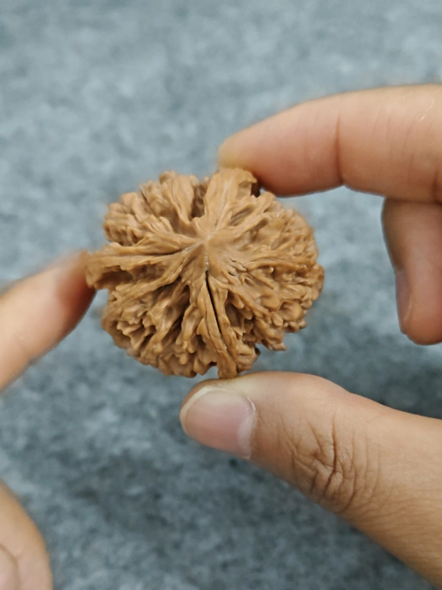 秦岭文玩核桃品质如何？