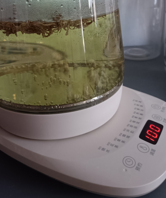 小熊电水壶
