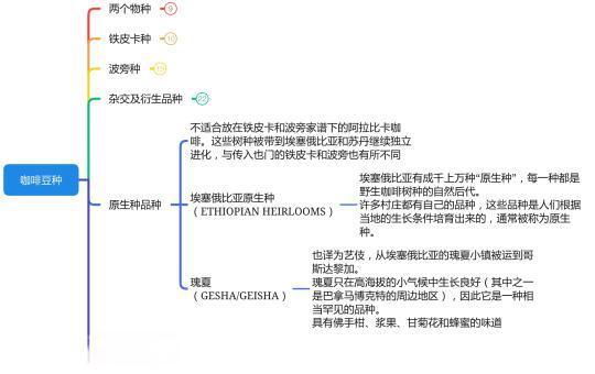 卡杜拉咖啡完全指南：起源、风味与种植历史