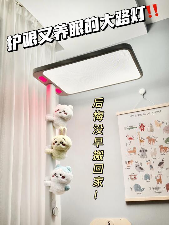 两个星期功课没白做！护眼又养眼才是王道！