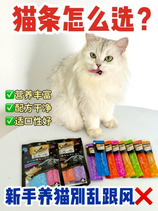 猫条怎么选？新手养猫别乱跟风❌