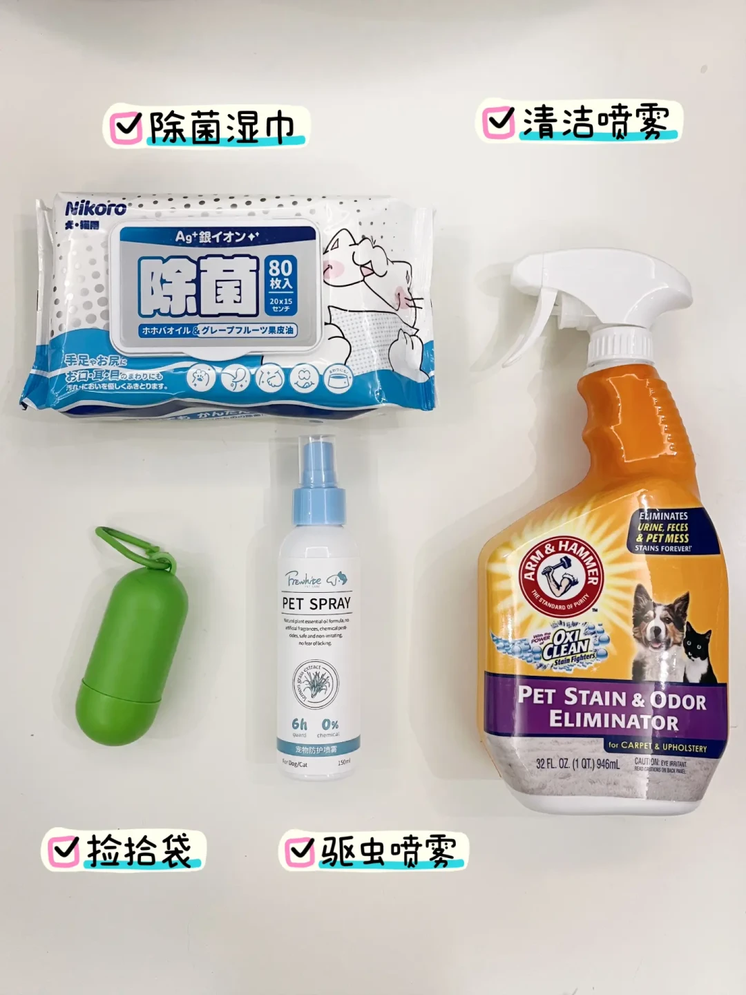 新手养狗完全指南:从基础物品到行为训练