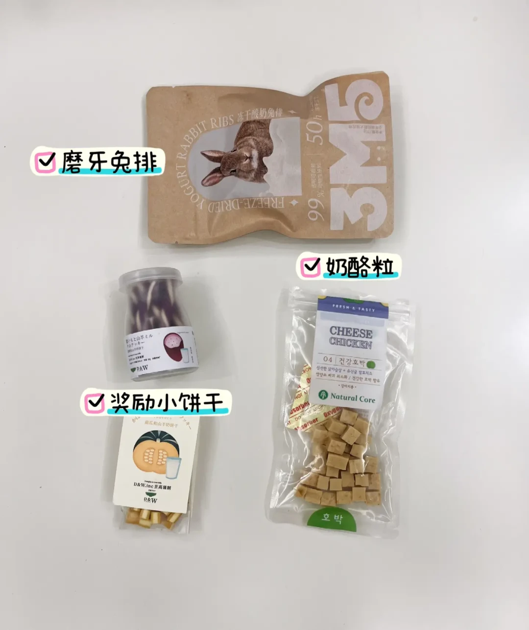 新手养狗完全指南:从基础物品到行为训练