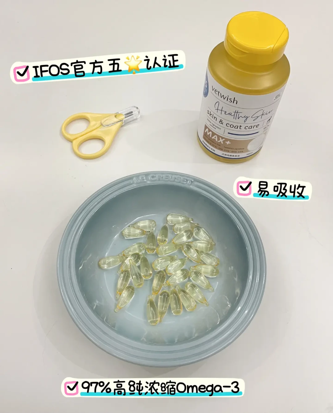 新手养狗完全指南:从基础物品到行为训练