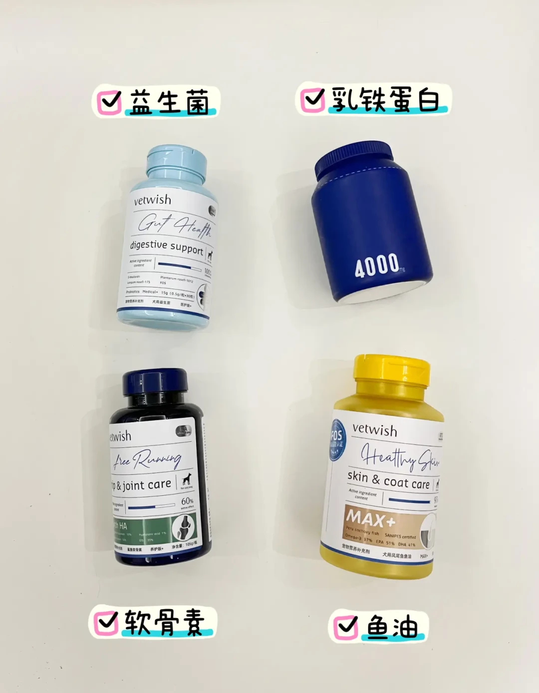 新手养狗完全指南:从基础物品到行为训练