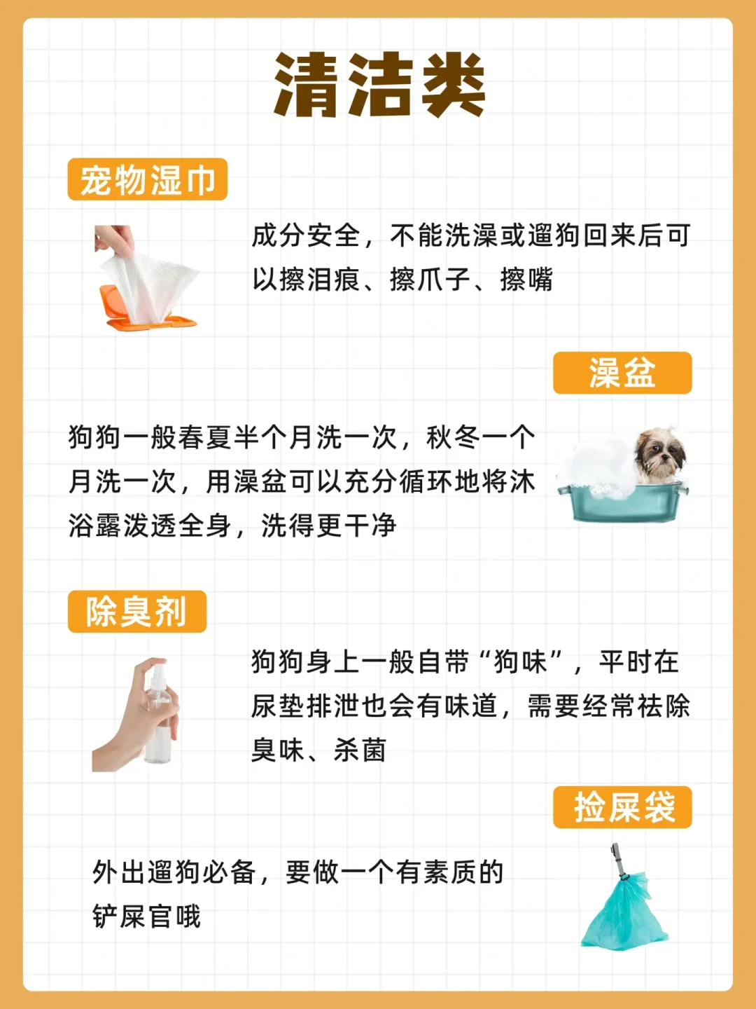 新手养狗完全指南:从基础物品到行为训练