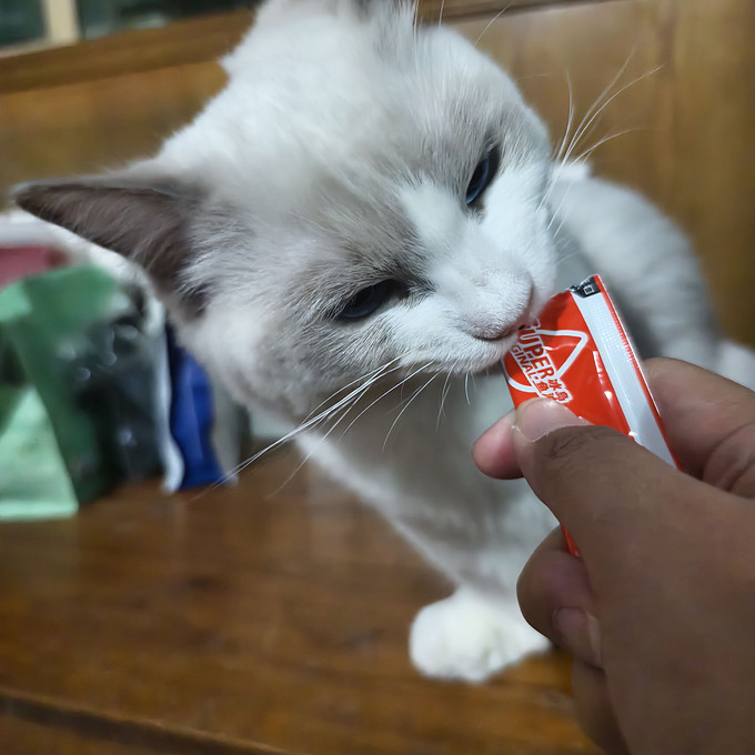 顽皮猫咪肉质零食